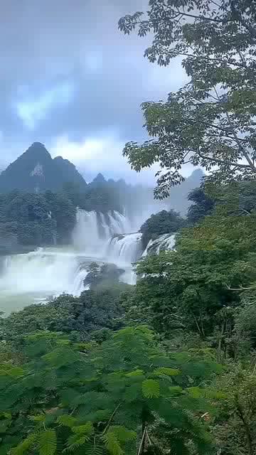 哈姆赛后灌鸡汤,浓眉好消息!老詹意有所指,湖人该换谁一目了然